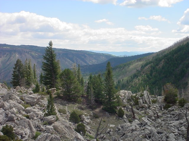 MVC-097F.JPG
